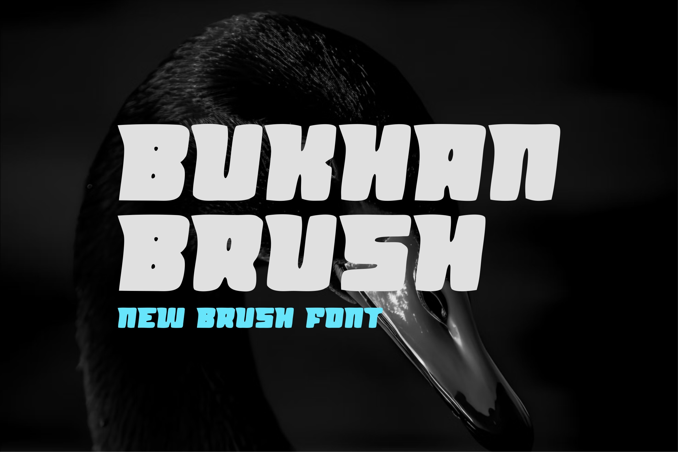 Пример шрифта Bukhan Brush #1