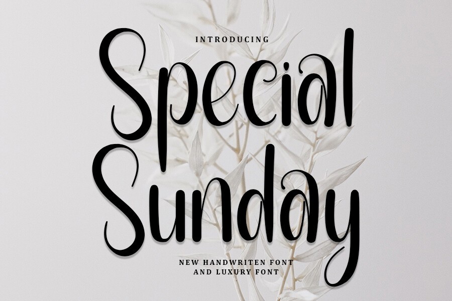 Пример шрифта Special Sunday #1