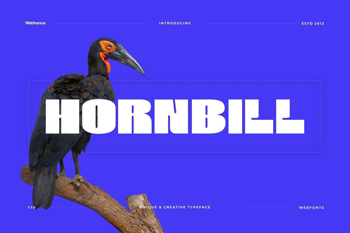 Пример шрифта Hornbill Display Bold #1