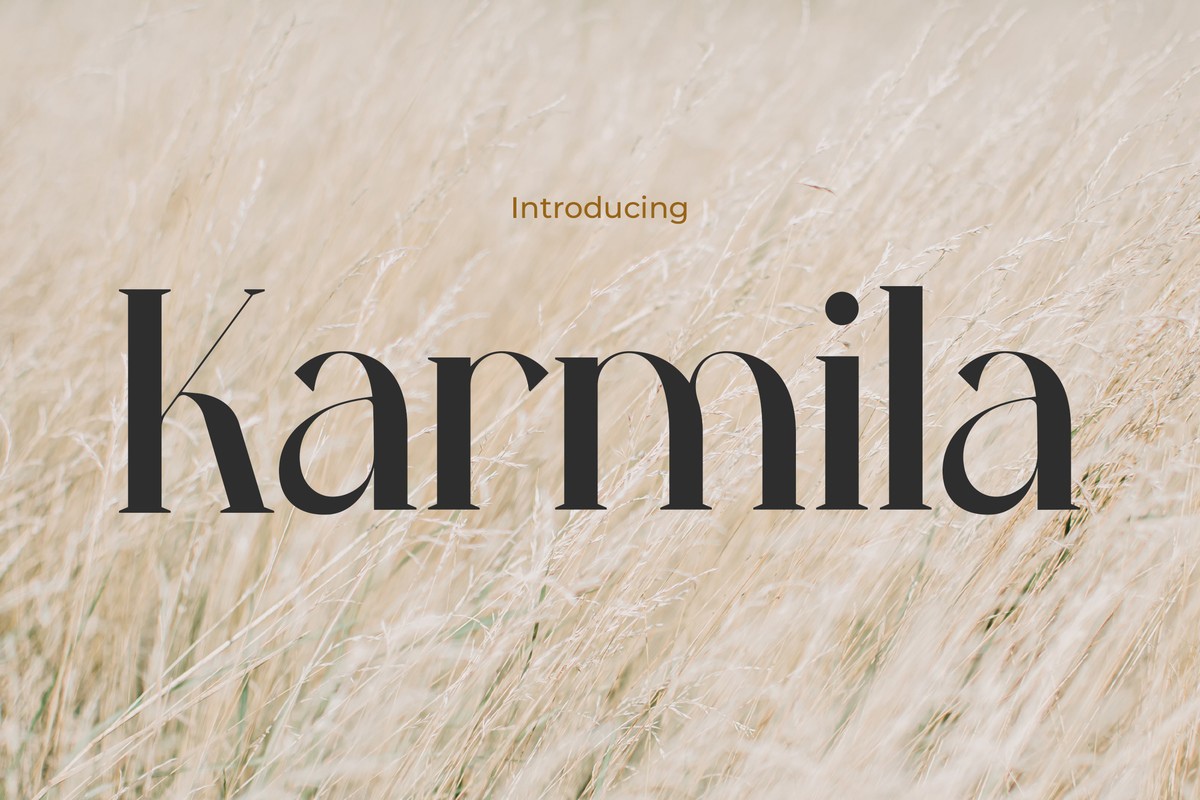 Пример шрифта Karmila #1