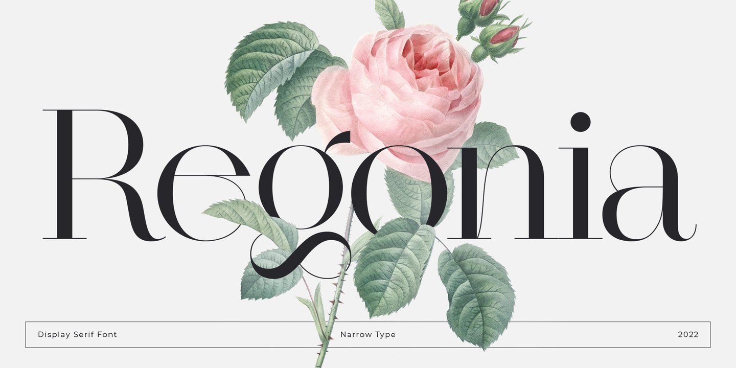 Пример шрифта Regonia #1