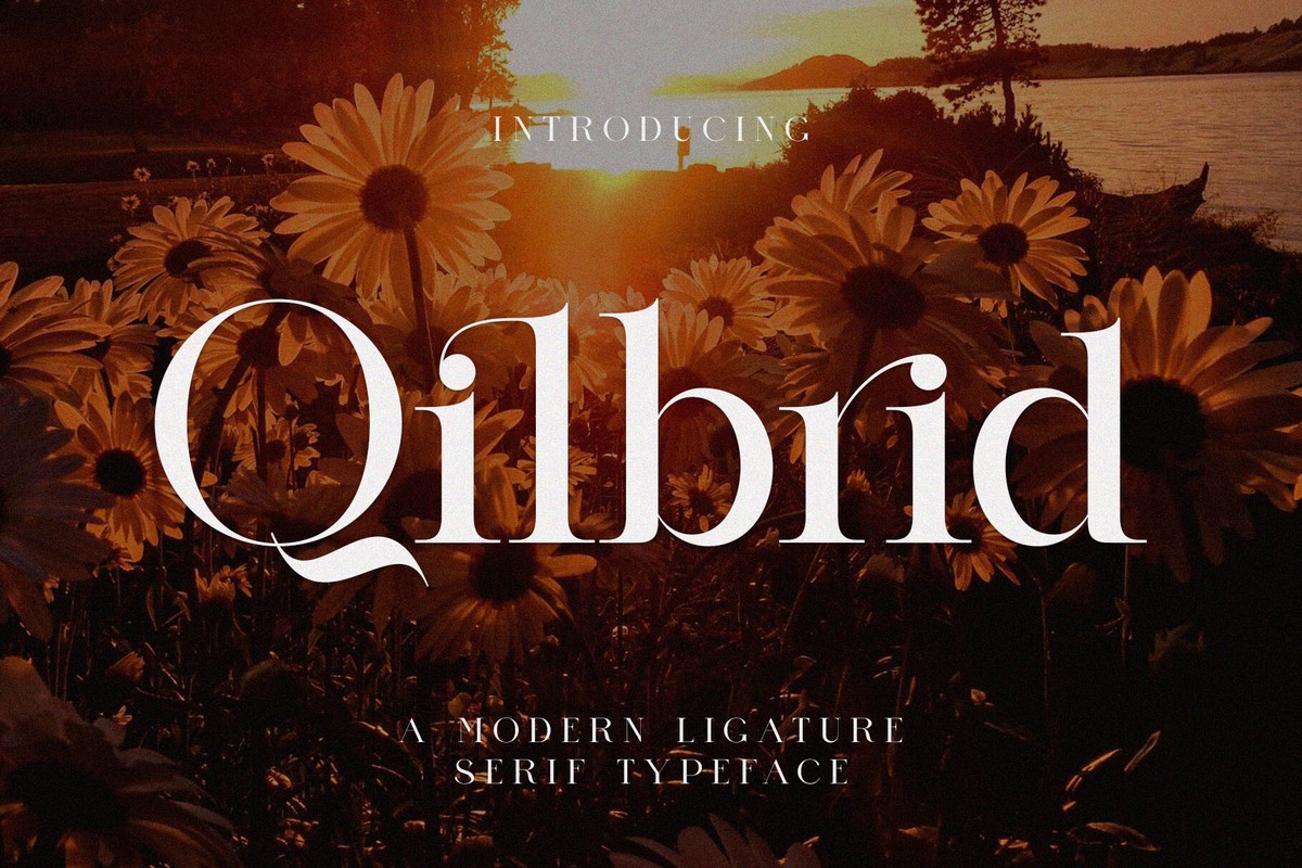 Пример шрифта Qilbrid #1