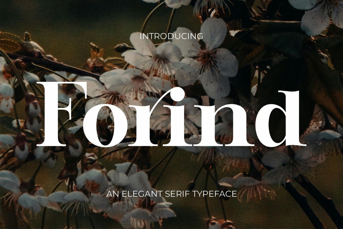 Пример шрифта Forind #1