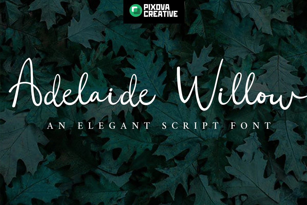 Пример шрифта Adelaide Willow #1