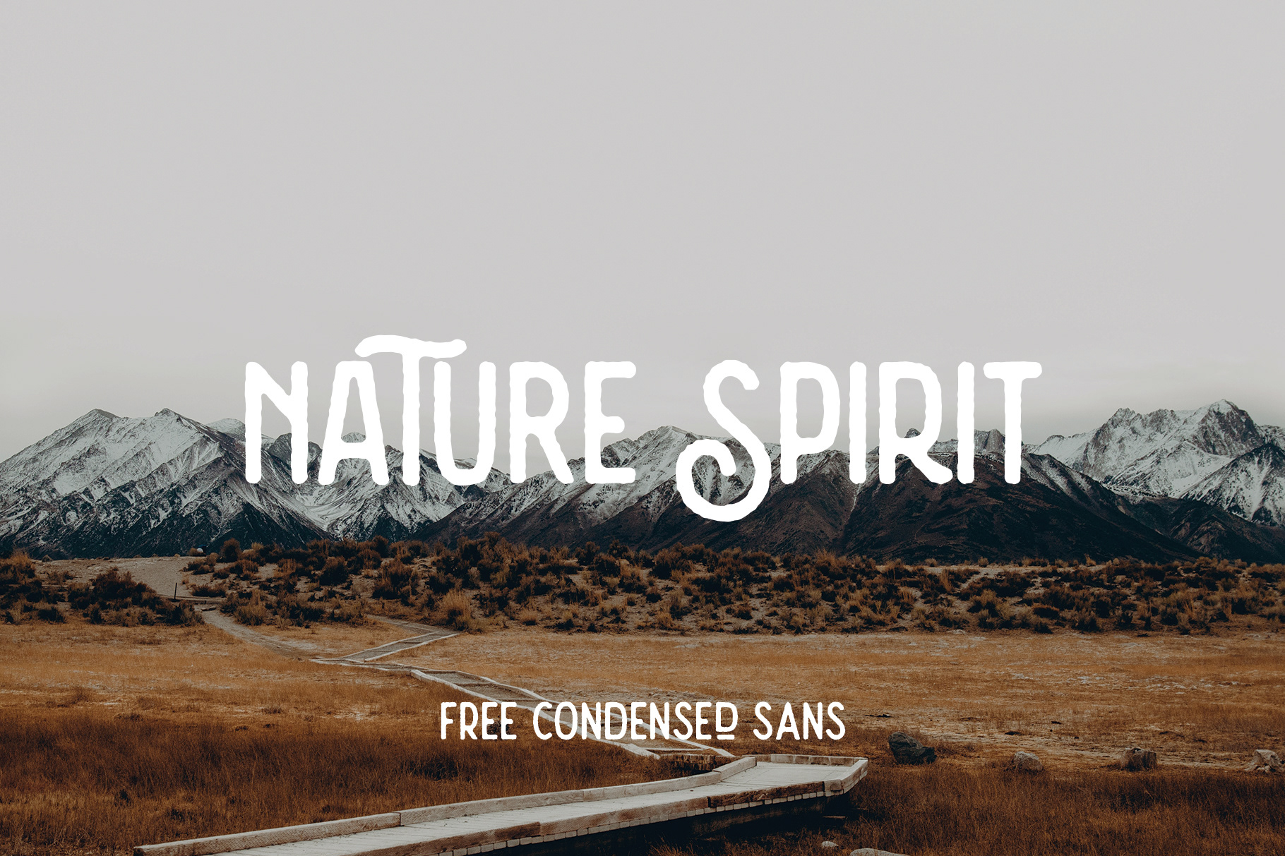 Шрифт Nature Spirit