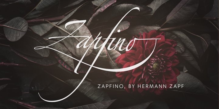 Шрифт Linotype Zapfino