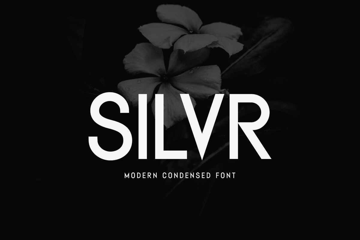 Шрифт Silvr