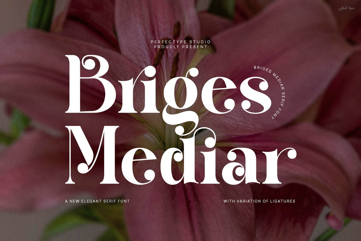 Шрифт Briges Mediar